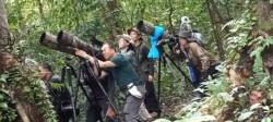 3 DAYS / 2 NITES BIAK BIRDING PHOTOGRAPHY
Period 01-3 July 2023