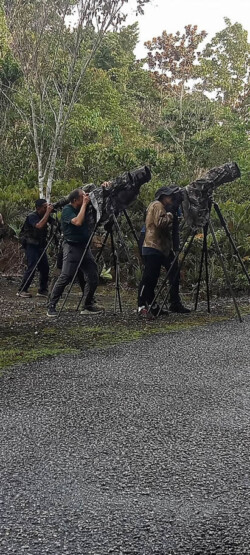 3 DAYS / 2 NITES BIAK BIRDING PHOTOGRAPHY
Period 01-3 July 2023